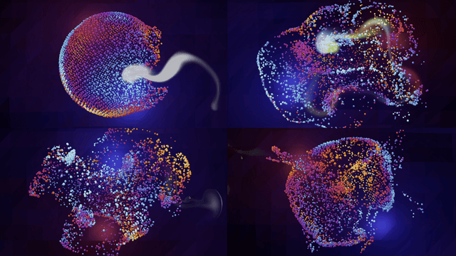 Three Fluid FX